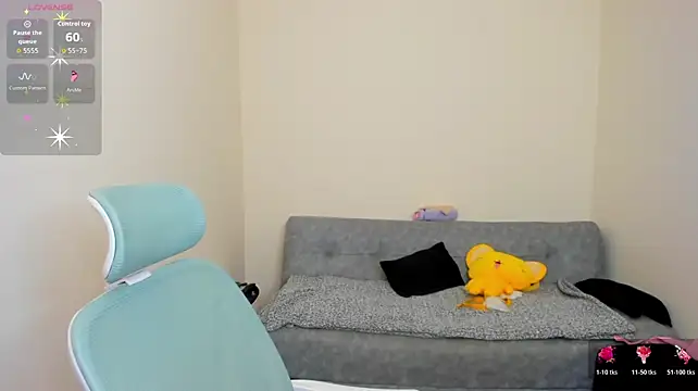 Sofisky2 webcam