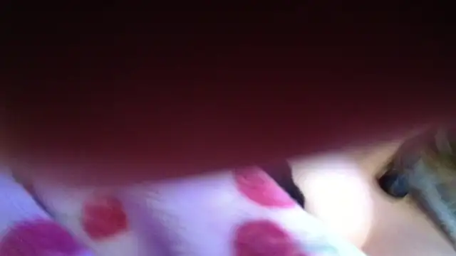 ariawoods webcam