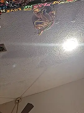 pineapplelife webcam