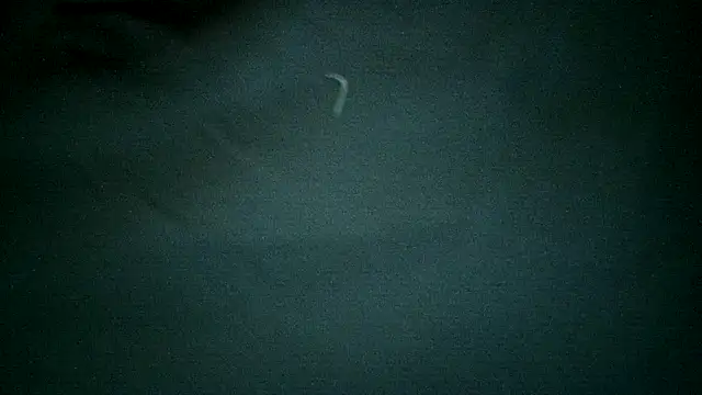 Jeunemilfcokine webcam