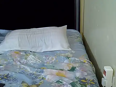 pointie_bloomy webcam
