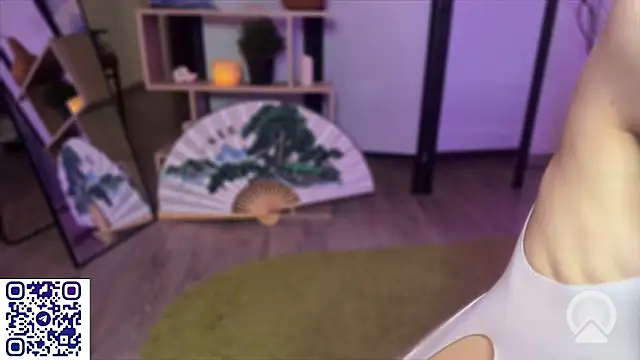 secrettape webcam