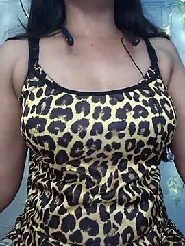 KEERTI-STRIP webcam