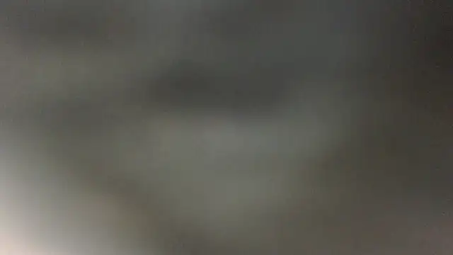 ROOKERT webcam