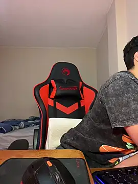 HUMANXTHING webcam