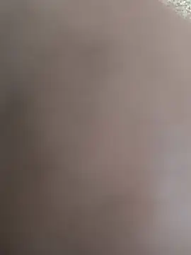 Wildbcouple-8080 webcam
