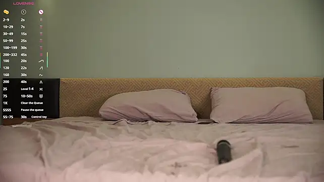 Chee_cha webcam