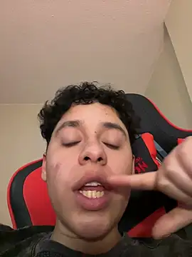 HUMANXTHING webcam