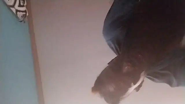 ReallyReallyReal
