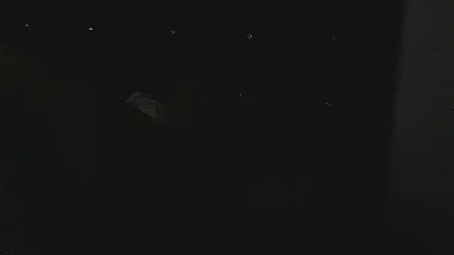 SashaBrianna99 webcam