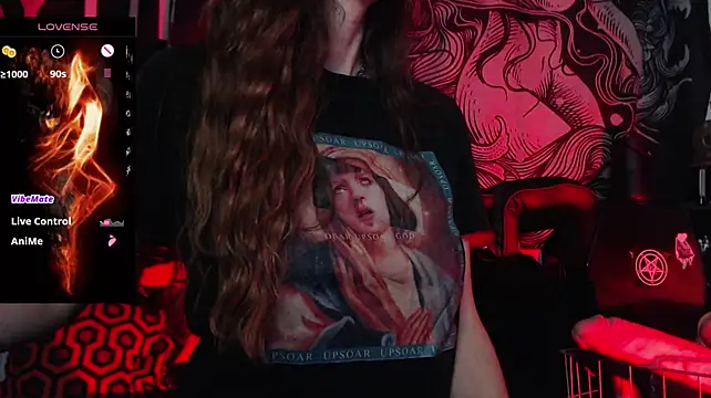 Silentmary webcam