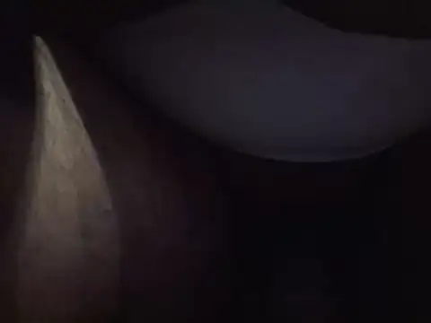 Ambush_Sword67 webcam