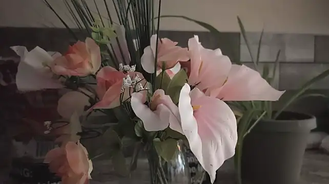 Opondestre00420