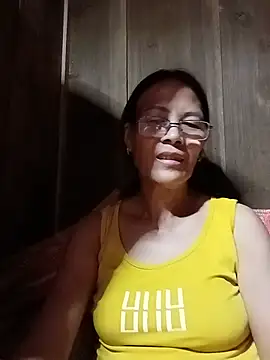 toyo_668 webcam