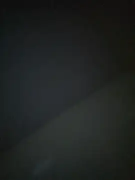 thespontaneouscouple42069 webcam