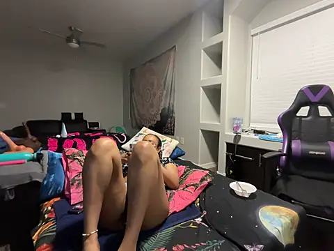 ReeseZen webcam