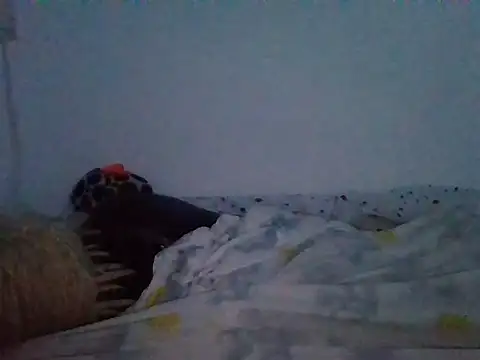 milk_sugar19 webcam