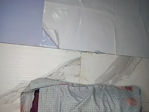 Muktha webcam