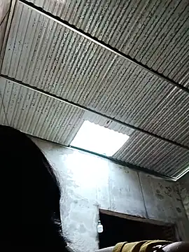 toyo_668 webcam