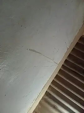 Melofcl webcam