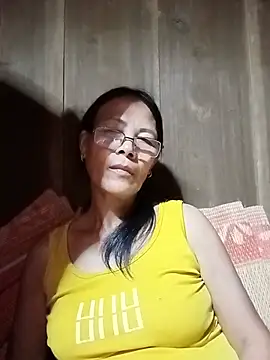 toyo_668 webcam