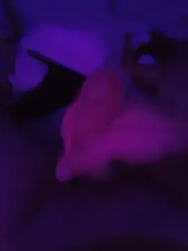 teumacho25