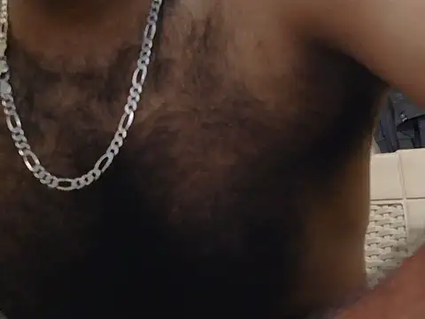 indianhairybull