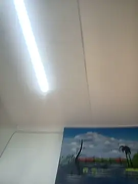 BouDyLicious_X webcam