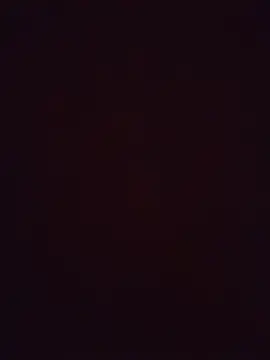 alexa_paloma2