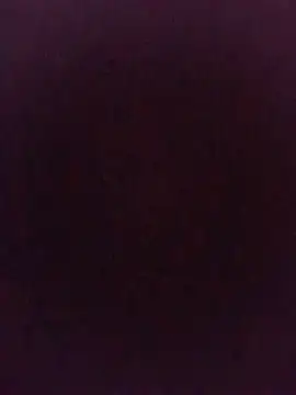 sk022 webcam