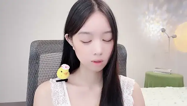 Yoyo33355 webcam