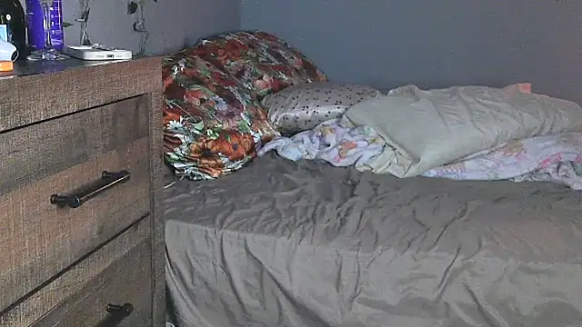 perfect_us696 webcam