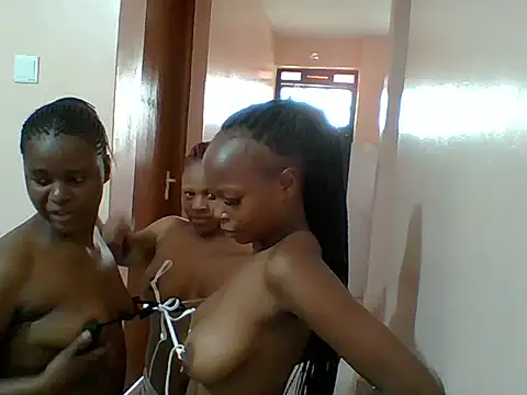 Fine-Gal webcam