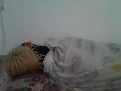 milk_sugar19 webcam