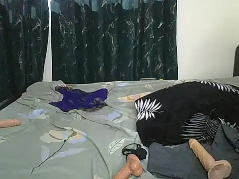 vanillapieh webcam