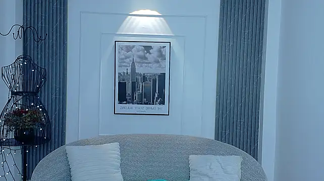 auravg webcam