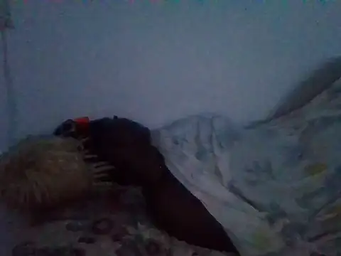 milk_sugar19 webcam
