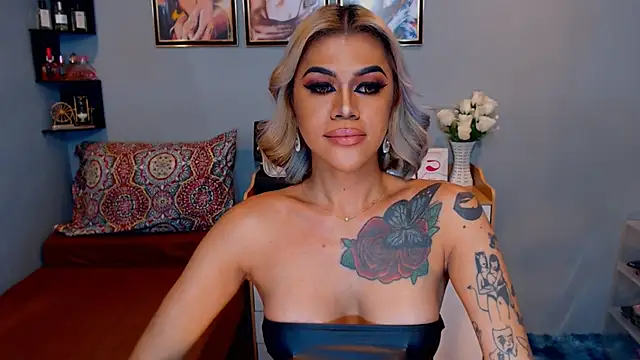 StellaStrong30 webcam