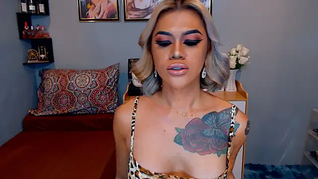 StellaStrong30 webcam