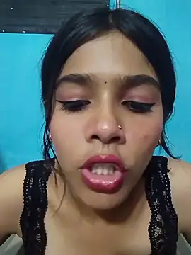 HIE-JANVI webcam