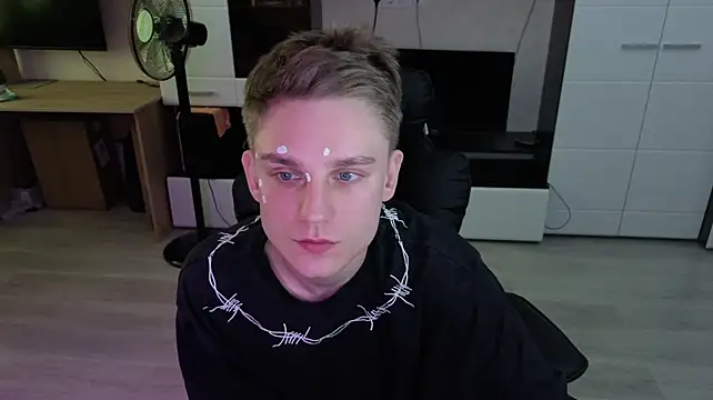 pvlpstvy webcam
