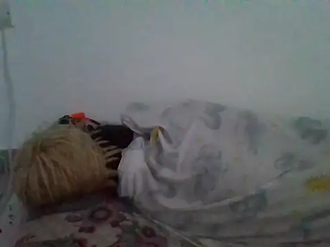 milk_sugar19 webcam