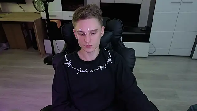 pvlpstvy webcam