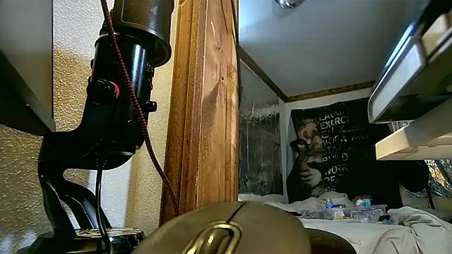 savageconfidence webcam