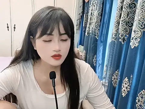 sjsibi webcam