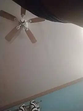 ReallyReallyReal webcam