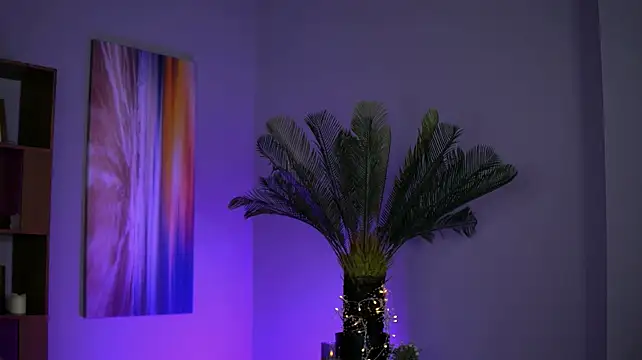 SkylerAura