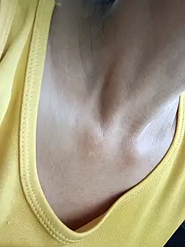 toyo_668 webcam