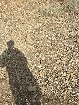 TurkeyMen36 webcam