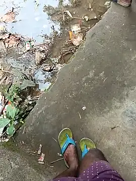Odisha_12345_model